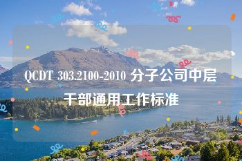 QCDT 303.2100-2010 分子公司中层干部通用工作标准