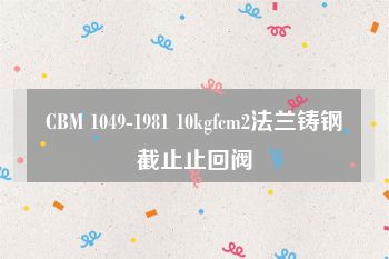 CBM 1049-1981 10kgfcm2法兰铸钢截止止回阀
