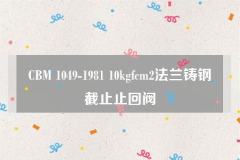 CBM 1049-1981 10kgfcm2法兰铸钢截止止回阀