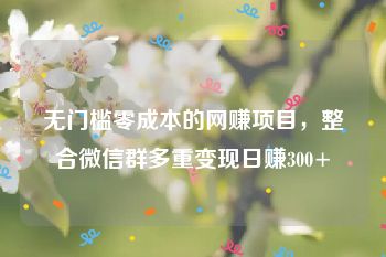 无门槛零成本的网赚项目，整合微信群多重变现日赚300+