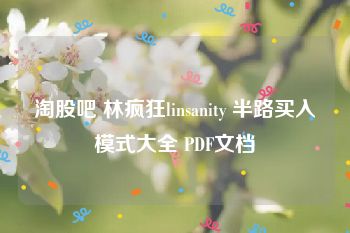 淘股吧 林疯狂linsanity 半路买入模式大全 PDF文档