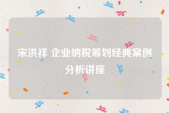 宋洪祥 企业纳税筹划经典案例分析讲座