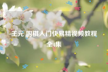 王元 围棋入门快易精视频教程全4集