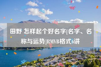 田野 怎样起个好名字[名字、名称与运势]RMVB格式6讲