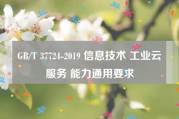 GB/T 37724-2019 信息技术 工业云服务 能力通用要求