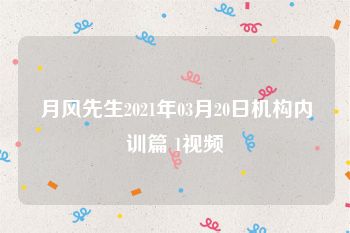 月风先生2021年03月20日机构内训篇 1视频