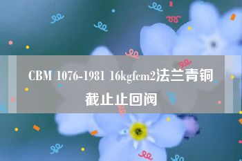 CBM 1076-1981 16kgfcm2法兰青铜截止止回阀