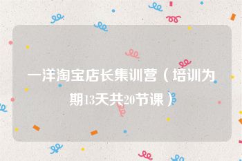 一洋淘宝店长集训营（培训为期13天共20节课）