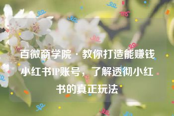 百微商学院·教你打造能赚钱小红书IP账号，了解透彻小红书的真正玩法