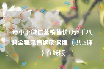 谭小平微信营销售价1万2千八的全程录音绝密课程 （共15课）在线版