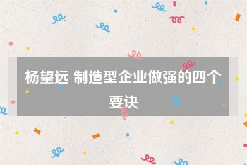 杨望远 制造型企业做强的四个要诀