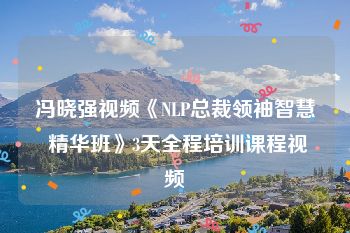 冯晓强视频《NLP总裁领袖智慧 精华班》3天全程培训课程视频