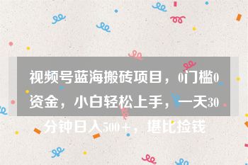 视频号蓝海搬砖项目，0门槛0资金，小白轻松上手，一天30分钟日入500+，堪比捡钱