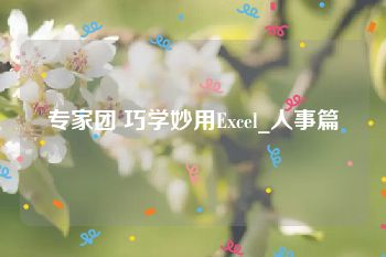 专家团 巧学妙用Excel_人事篇