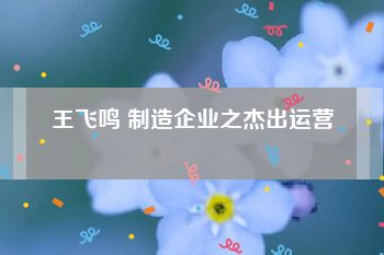 王飞鸣 制造企业之杰出运营