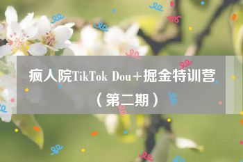 疯人院TikTok Dou+掘金特训营（第二期）