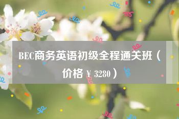 BEC商务英语初级全程通关班（价格￥3280）