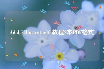 Adobe.Illustrator10.教程2本PDF格式