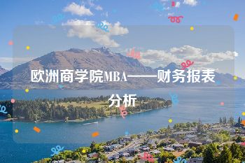 欧洲商学院MBA——财务报表分析