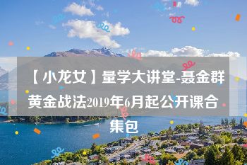 【小龙女】量学大讲堂-聂金群黄金战法2019年6月起公开课合集包