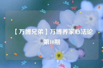 【万博兄弟】万博养家心法论第10期