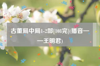 古董局中局1-2部[108完](播音——王明君)