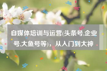 自媒体培训与运营(头条号,企业号,大鱼号等)，从入门到大神