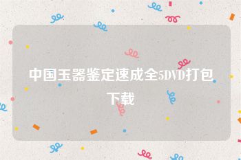 中国玉器鉴定速成全5DVD打包下载