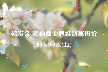 易发久 领袖商业思维财富班价值36800元(五)
