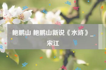 鲍鹏山 鲍鹏山新说《水浒》_宋江