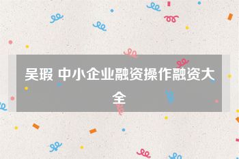 吴瑕 中小企业融资操作融资大全