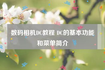 数码相机DC教程 DC的基本功能和菜单简介