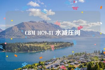 CBM 1079-81 水减压阀