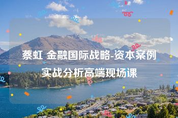 蔡虹 金融国际战略-资本案例实战分析高端现场课