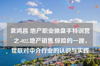 袁鸿昌 地产职业操盘手特训营之-022.地产销售.惊险的一跳，世联对中介行业的认识与实践