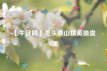 【牛仔网】龙头泰山精英操盘 6课