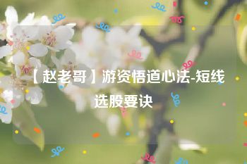 【赵老哥】游资悟道心法-短线选股要诀