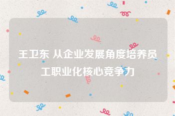 王卫东 从企业发展角度培养员工职业化核心竞争力