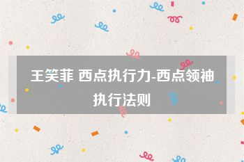 王笑菲 西点执行力-西点领袖执行法则