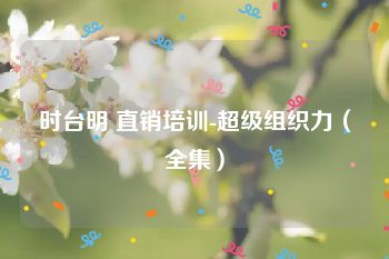 时台明 直销培训-超级组织力（全集）