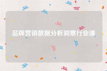 品牌营销数据分析洞察行业课