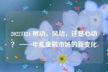 20221124 树动，风动，还是心动？ ——年底金融市场的新变化