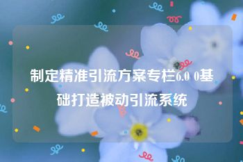 制定精准引流方案专栏6.0 0基础打造被动引流系统