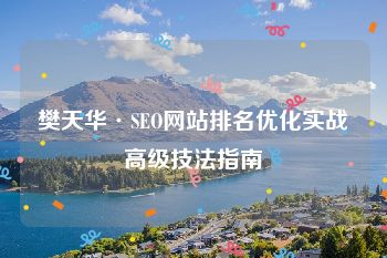 樊天华·SEO网站排名优化实战高级技法指南