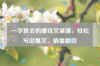 一学就会的赚钱文案课，轻松写出爆文、销量翻倍