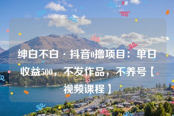 绅白不白·抖音0撸项目：单日收益500，不发作品，不养号【视频课程】