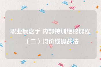 职业操盘手 内部特训绝秘课程（二）均价线操战法