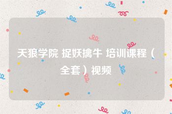 天狼学院 捉妖擒牛 培训课程（全套）视频