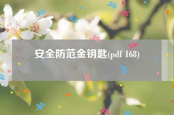 安全防范金钥匙(pdf 168)