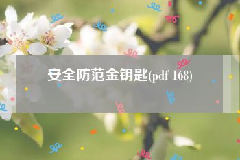 安全防范金钥匙(pdf 168)